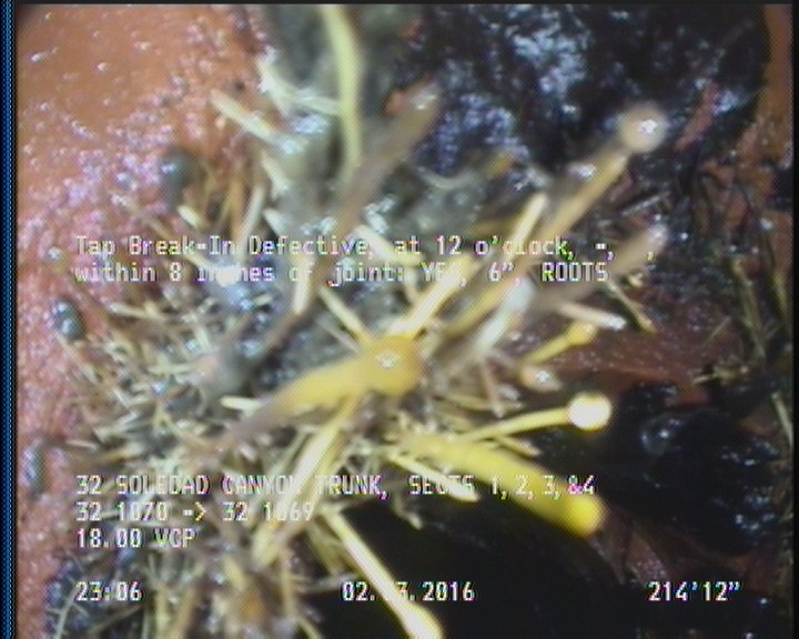 Tap Break-In Defective, at 12 o'clock, -, , within 8 inches of joint: YES, 6" - ROOTS