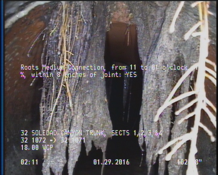 Roots Medium Connection, from 11 to 01 o'clock, 10 %, within 8 inches of joint: YES