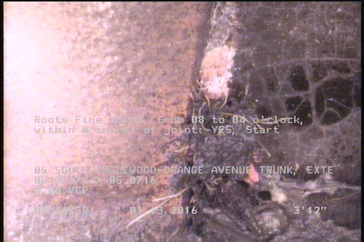Roots Fine Joint, from 08 to 04 o'clock, within 8 inches of joint: YES, Start