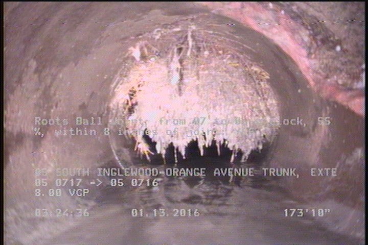 Roots Ball Joint, from 07 to 05 o'clock, 55 %, within 8 inches of joint: YES