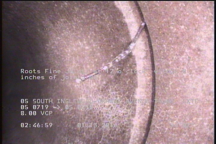 Roots Fine Joint, at 12 o'clock, within 8 inches of joint: NO
