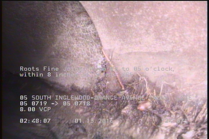 Roots Fine Joint, from 03 to 05 o'clock, within 8 inches of joint: YES