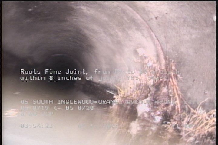 Roots Fine Joint, from 09 to 03 o'clock, within 8 inches of joint: YES, Start