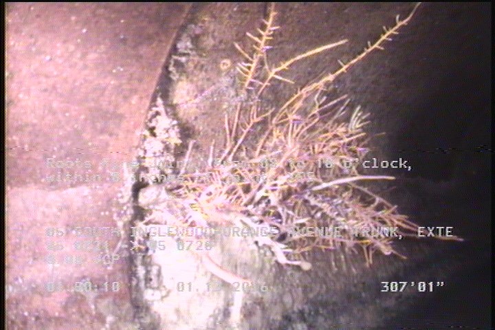 Roots Fine Joint, from 08 to 10 o'clock, within 8 inches of joint: YES