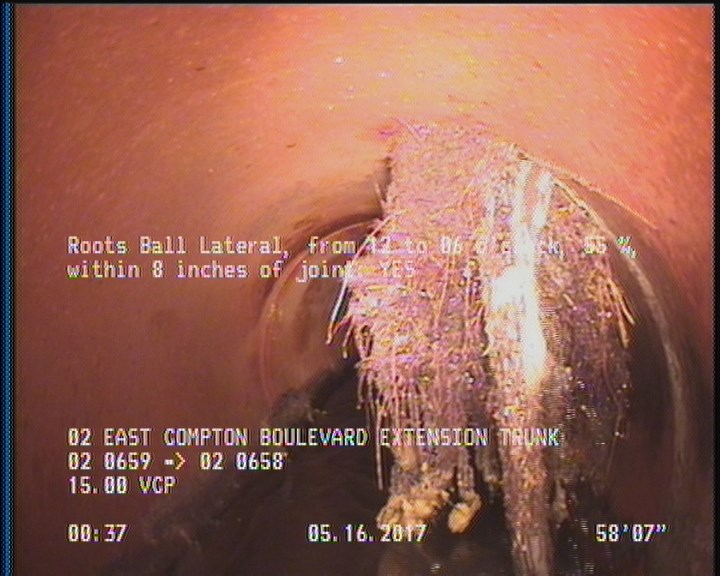Roots Ball Lateral, from 12 to 06 o'clock, 55 %, within 8 inches of joint: YES
