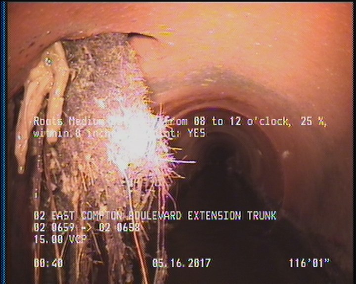 Roots Medium Lateral, from 08 to 12 o'clock, 25 %, within 8 inches of joint: YES