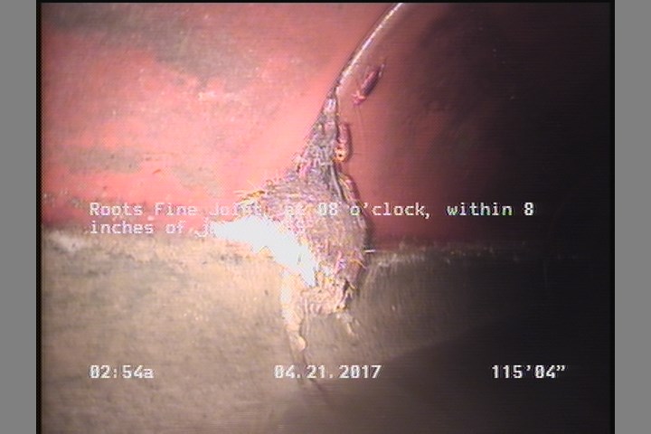 Roots Fine Joint, at 08 o'clock, within 8 inches of joint: YES