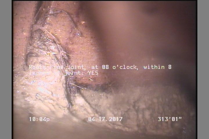 Roots Fine Joint, at 08 o'clock, within 8 inches of joint: YES