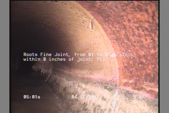 Roots Fine Joint, from 01 to 03 o'clock, within 8 inches of joint: YES