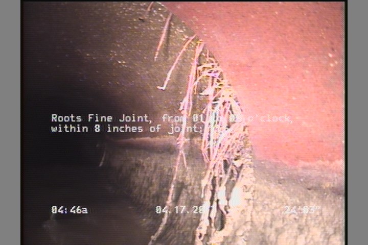 Roots Fine Joint, from 01 to 05 o'clock, within 8 inches of joint: YES