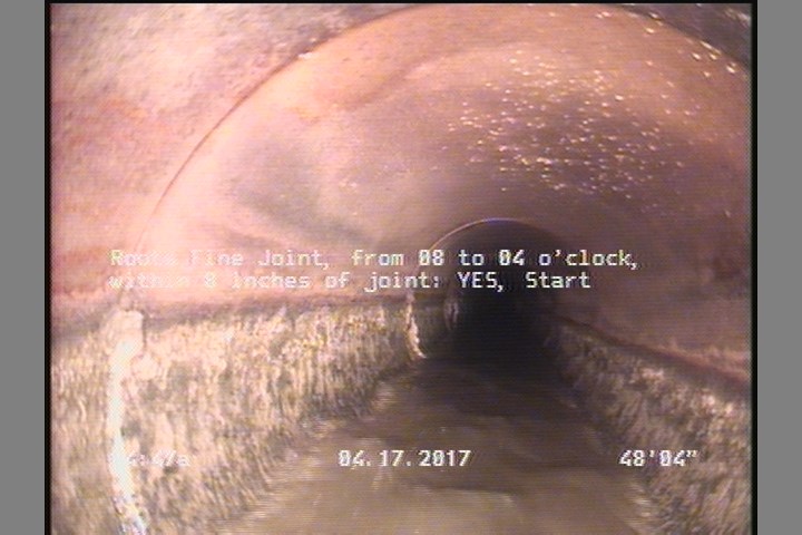 Roots Fine Joint, from 08 to 04 o'clock, within 8 inches of joint: YES, Start