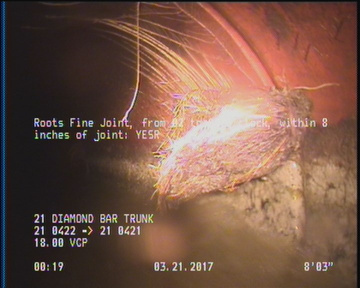 Roots Fine Joint, from 02 to 04 o'clock, within 8 inches of joint: YESR