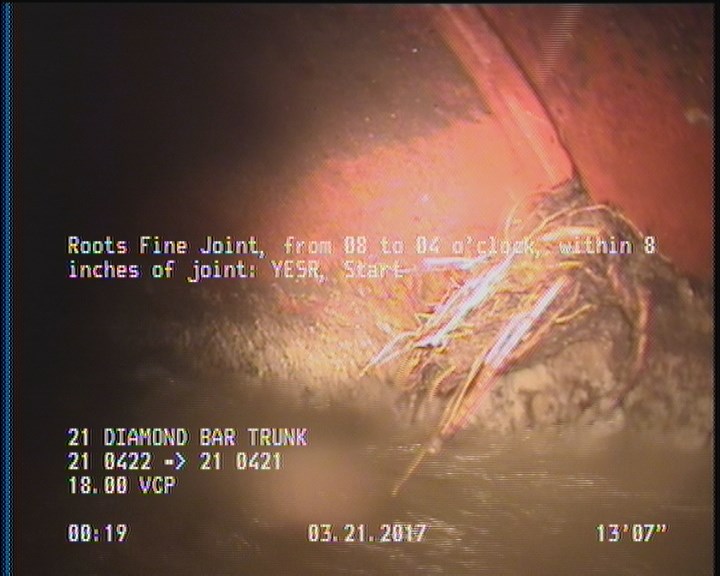 Roots Fine Joint, from 08 to 04 o'clock, within 8 inches of joint: YESR, Start