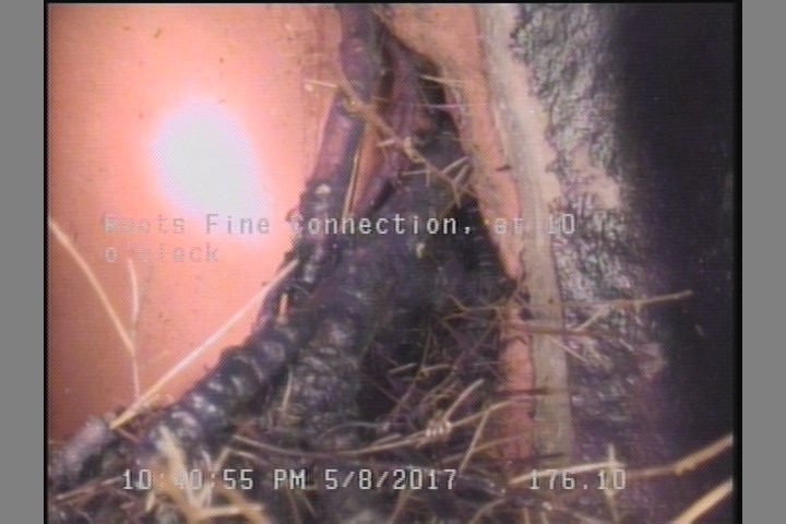 Roots Fine Connection, at 10 o'clock
