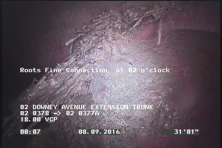 Roots Fine Connection, at 02 o'clock