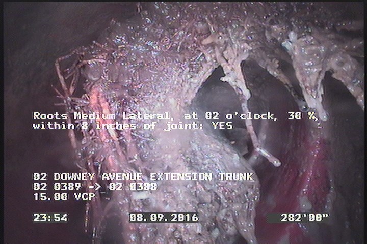 Roots Medium Lateral, at 02 o'clock, 30 %, within 8 inches of joint: YES