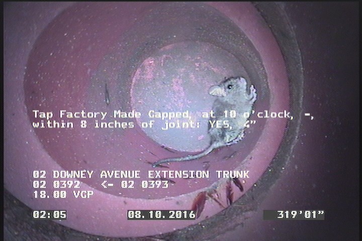 Tap Factory Made Capped, at 10 o'clock, -, within 8 inches of joint: YES, 4"