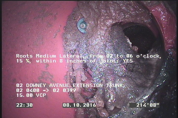 Roots Medium Lateral, from 02 to 06 o'clock, 15 %, within 8 inches of joint: YES