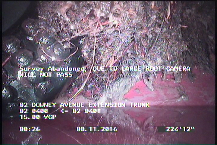 Survey Abandoned - DUE TO LARGE ROOT CAMERA WILL NOT PASS