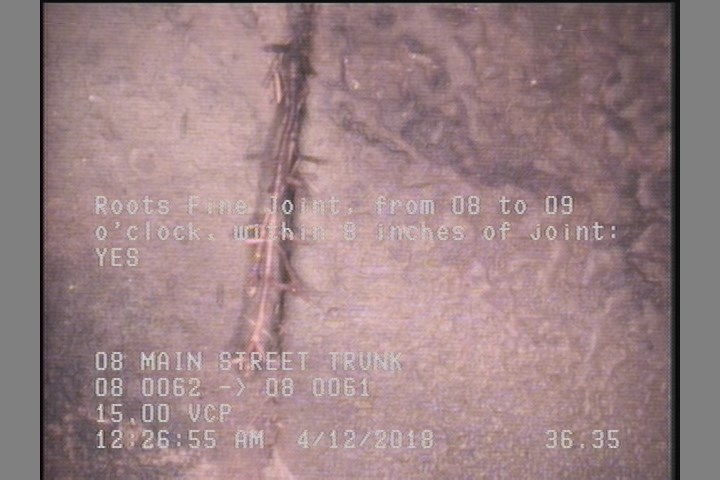 Roots Fine Joint, from 08 to 09 o'clock, within 8 inches of joint: YES