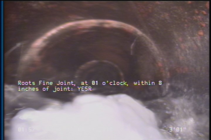 Roots Fine Joint, at 01 o'clock, within 8 inches of joint: YESR