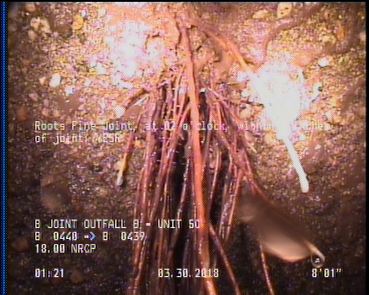 Roots Fine Joint, at 02 o'clock, within 8 inches of joint: YESR