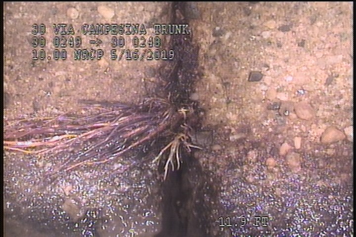 Roots Fine Joint, from 08 to 04 o'clock, within 8 inches of joint: YESR, Start