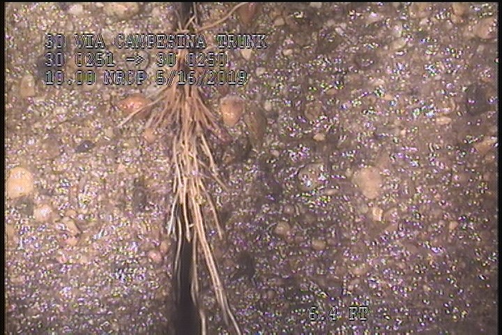 Roots Fine Joint, from 08 to 04 o'clock, within 8 inches of joint: YESR, Start