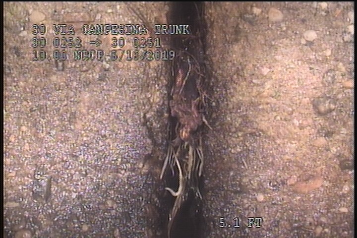 Roots Fine Joint, from 08 to 04 o'clock, within 8 inches of joint: YESR, Start