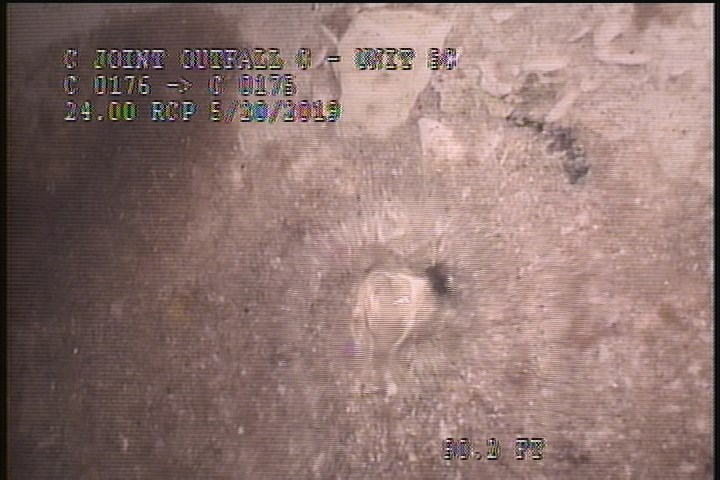 General Observation - POSSIBLE HOLE AT 6 O'CLOCK