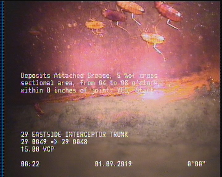 Deposits Attached Grease, 5 %of cross sectional area, from 04 to 08 o'clock, , within 8 inches of joint: YES, Start
