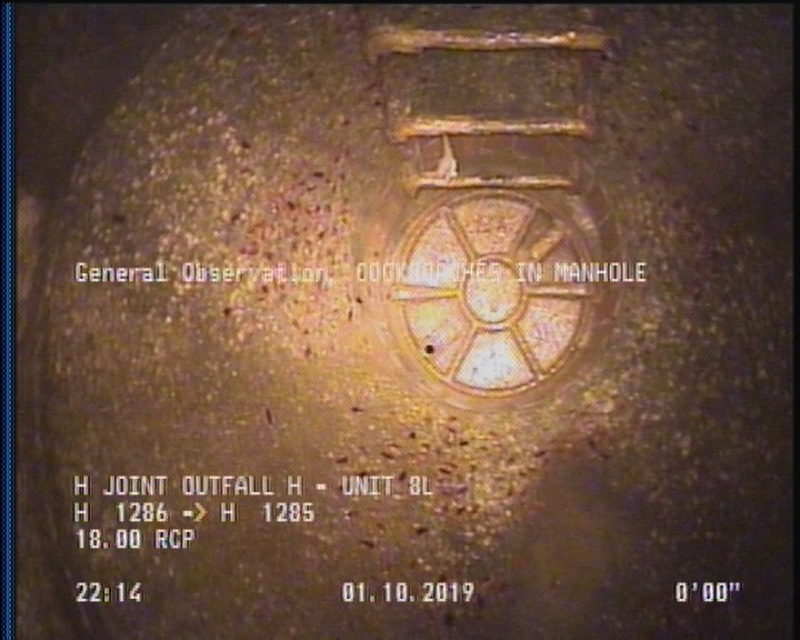 General Observation - COCKROACHES IN MANHOLE