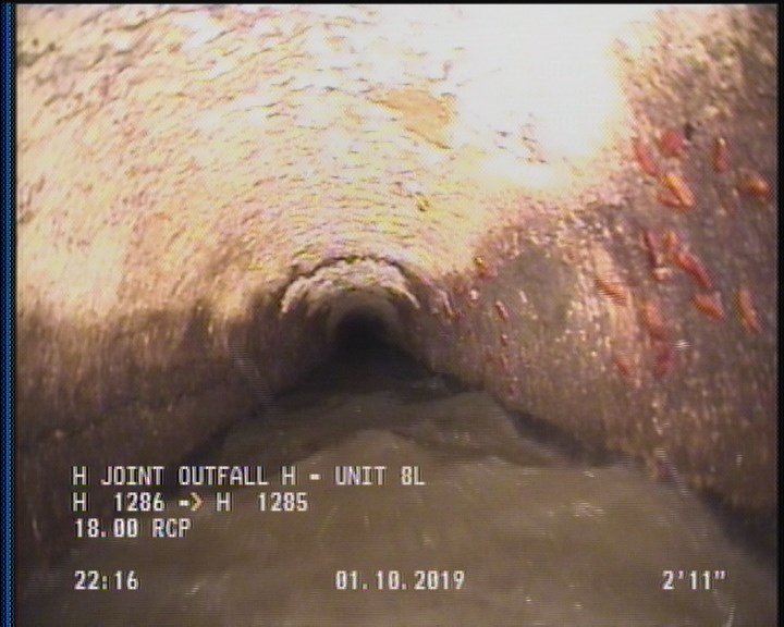 General Observation - MAG COATING THROUGHOUT 50%