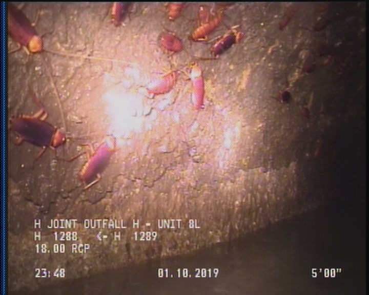 Surface Spalling, from 09 to 03 o'clock, within 8 inches of joint: YES, Start