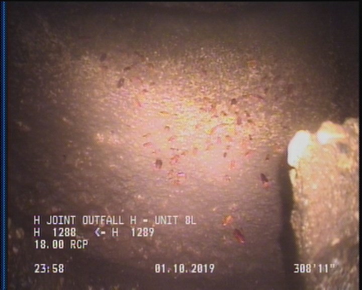 General Observation - COCKROACHES IN MANHOLE