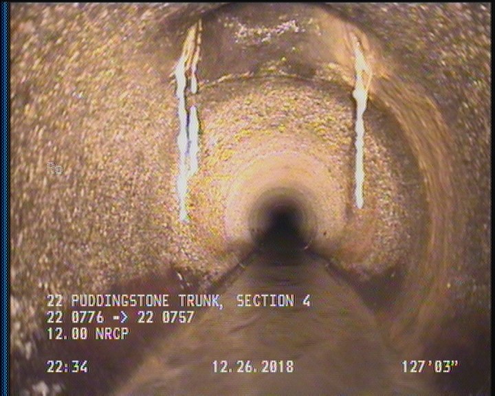 Roots Fine Lateral, at 12 o'clock