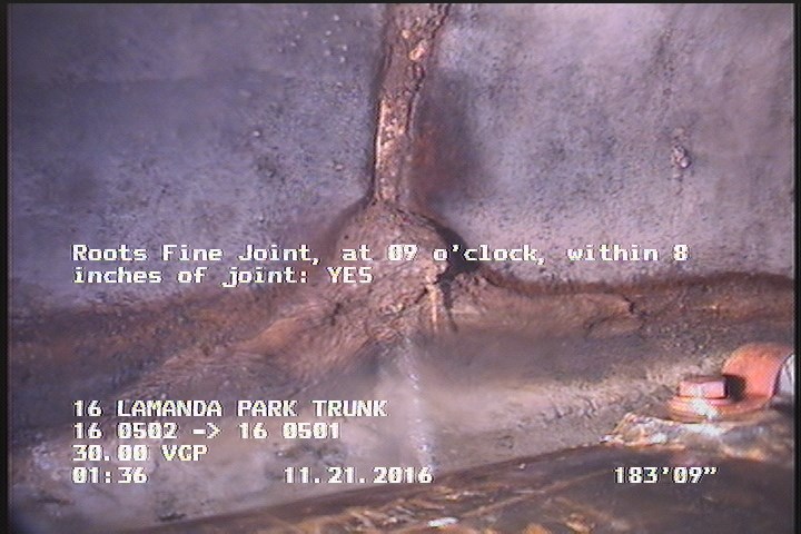 Roots Fine Joint, at 09 o'clock, within 8 inches of joint: YES