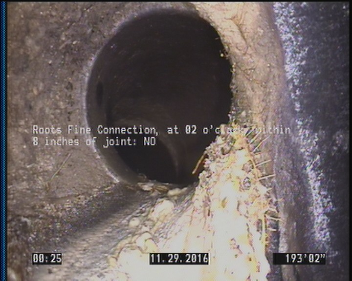 Roots Fine Connection, at 02 o'clock, within 8 inches of joint: NO