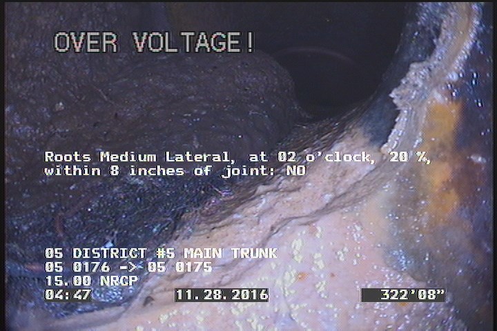 Roots Medium Lateral, at 02 o'clock, 20 %, within 8 inches of joint: NO