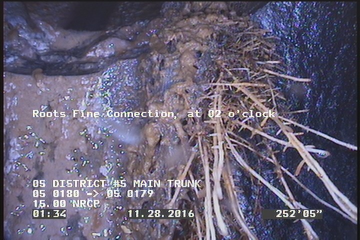 Roots Fine Connection, at 02 o'clock
