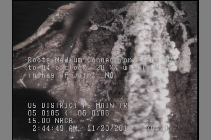 Roots Medium Connection, from 02 to 04 o'clock, 15 %, within 8 inches of joint: NO