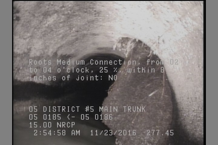 Roots Medium Connection, from 02 to 04 o'clock, 30 %, within 8 inches of joint: NO