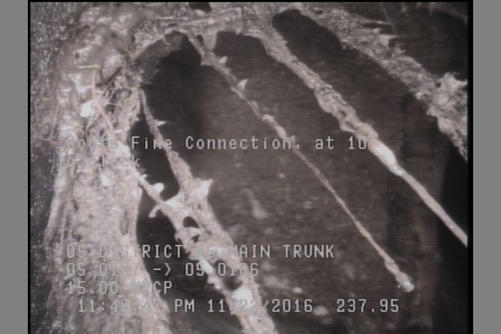 Roots Fine Connection, at 10 o'clock