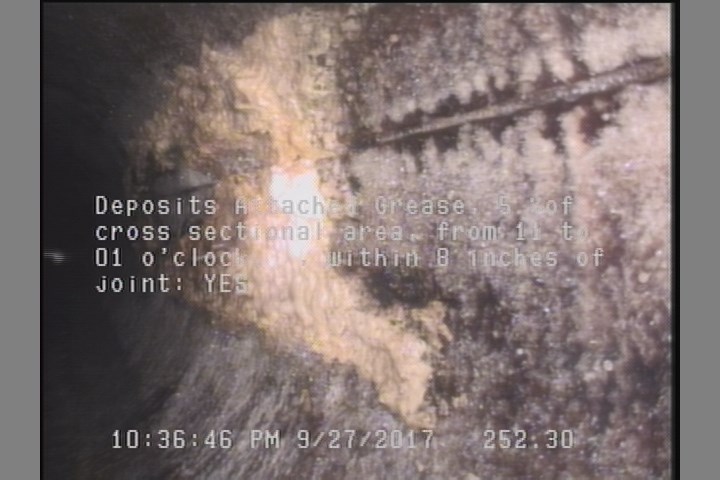 Deposits Attached Grease, 5 %of cross sectional area, from 11 to 01 o'clock, , within 8 inches of joint: YES