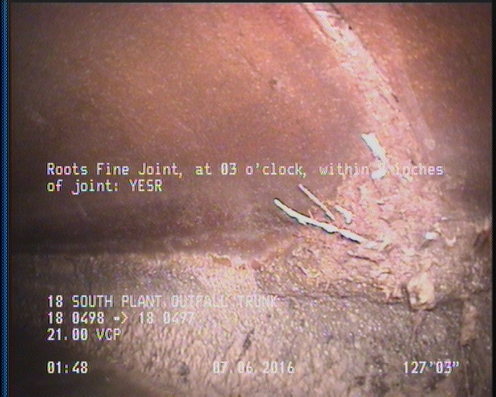 Roots Fine Joint, at 03 o'clock, within 8 inches of joint: YESR