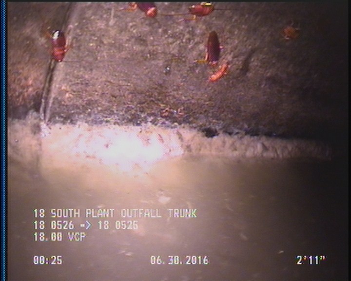 Deposits Attached Grease, 5 %of cross sectional area, from 04 to 08 o'clock, , within 8 inches of joint: YES, Start