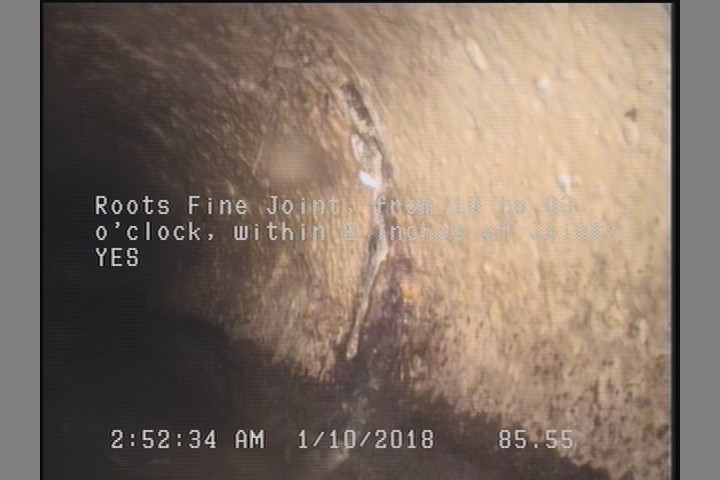 Roots Fine Joint, from 10 to 03 o'clock, within 8 inches of joint: YES