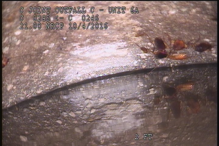 Survey Abandoned - VIEW OF THE UPLEG PIPE OF THE D/S SIPHON