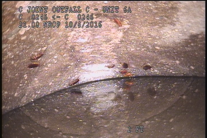 General Observation - ROACHES INSIDE THE MH.