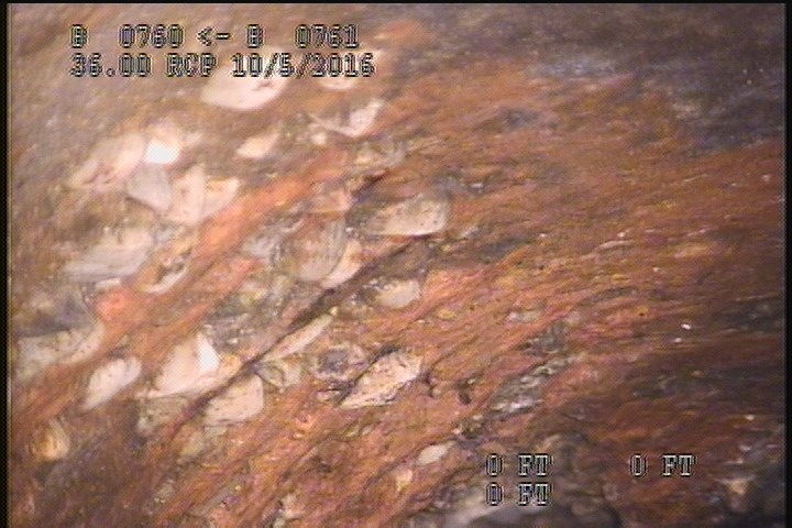 Surface Reinforcement Visible, from 11 to 01 o'clock, within 8 inches of joint: NO - CIRCUM REBAR